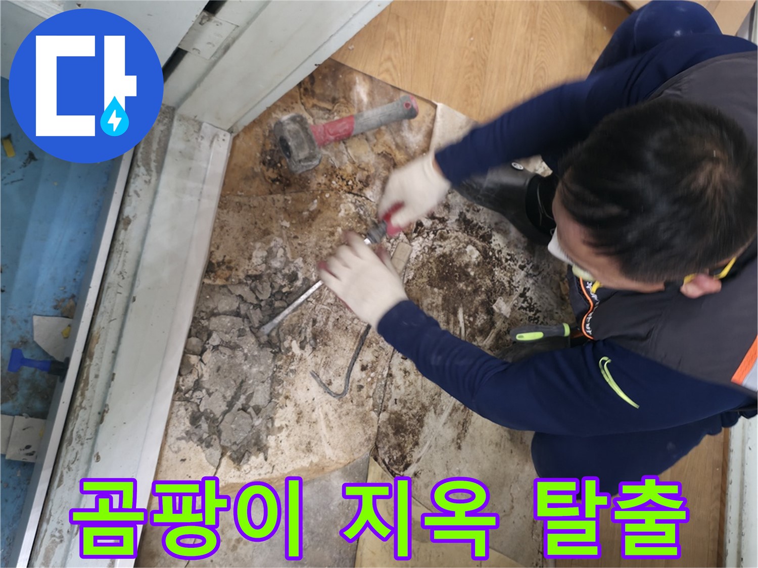 서초구 서초2동 누수 - 곰팡이 지옥 바닥 철거