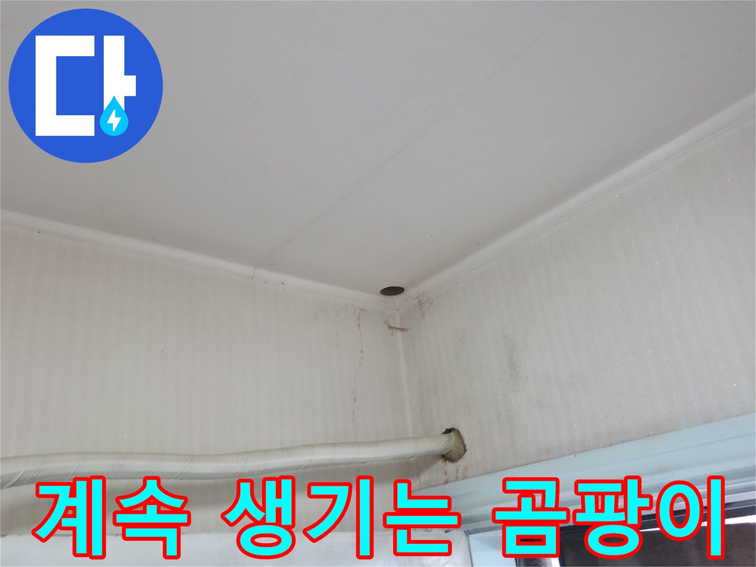 서초구 서초동 누수 - 벽에 핀 곰팡이를 닦아도 계속 생긴다면 누수가 원인일 수 있습니다.