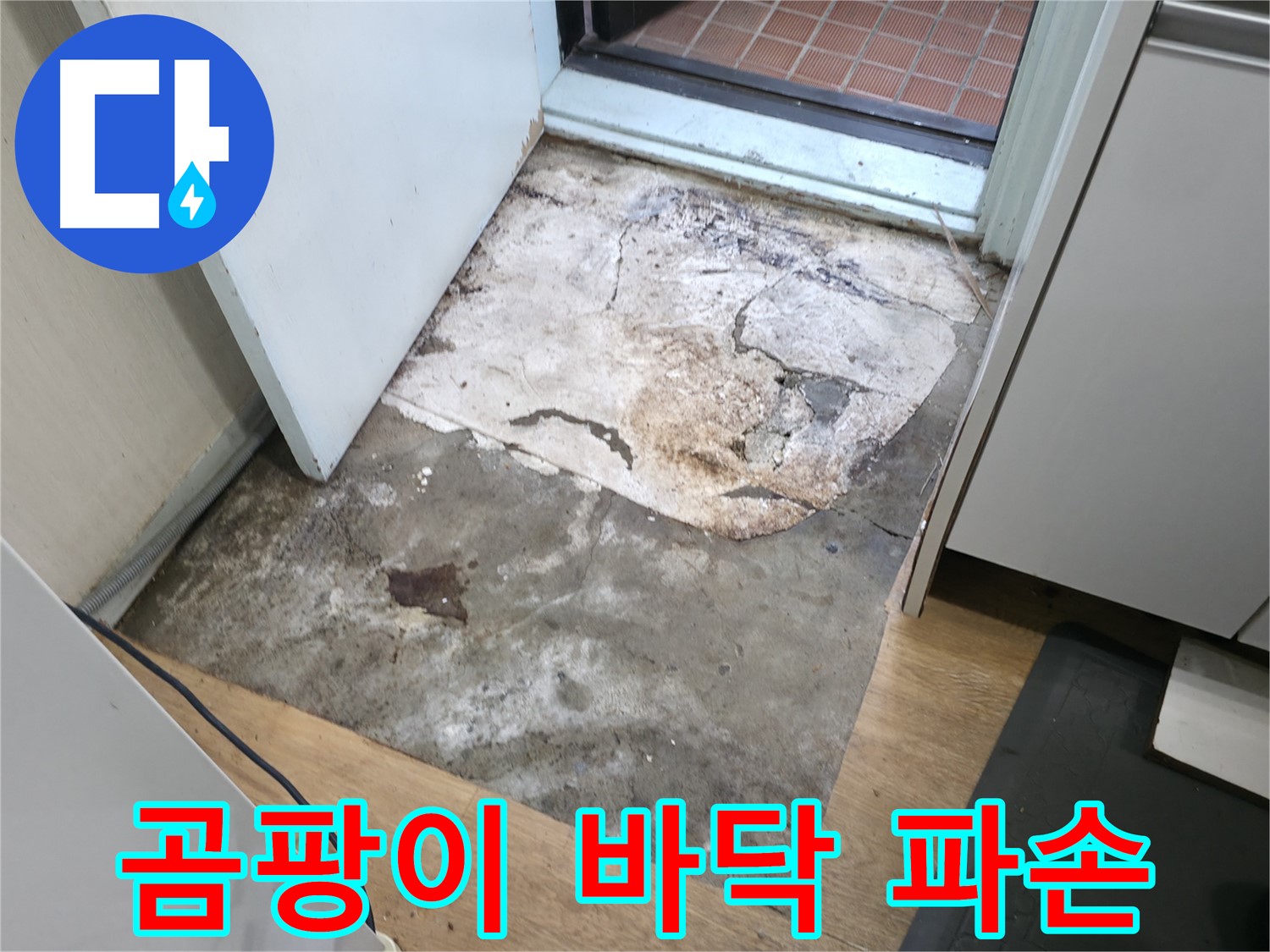 서초동 누수 현장 - 곰팡이와 함께 파손된 현관 바닥 - 누수 장기화 의심