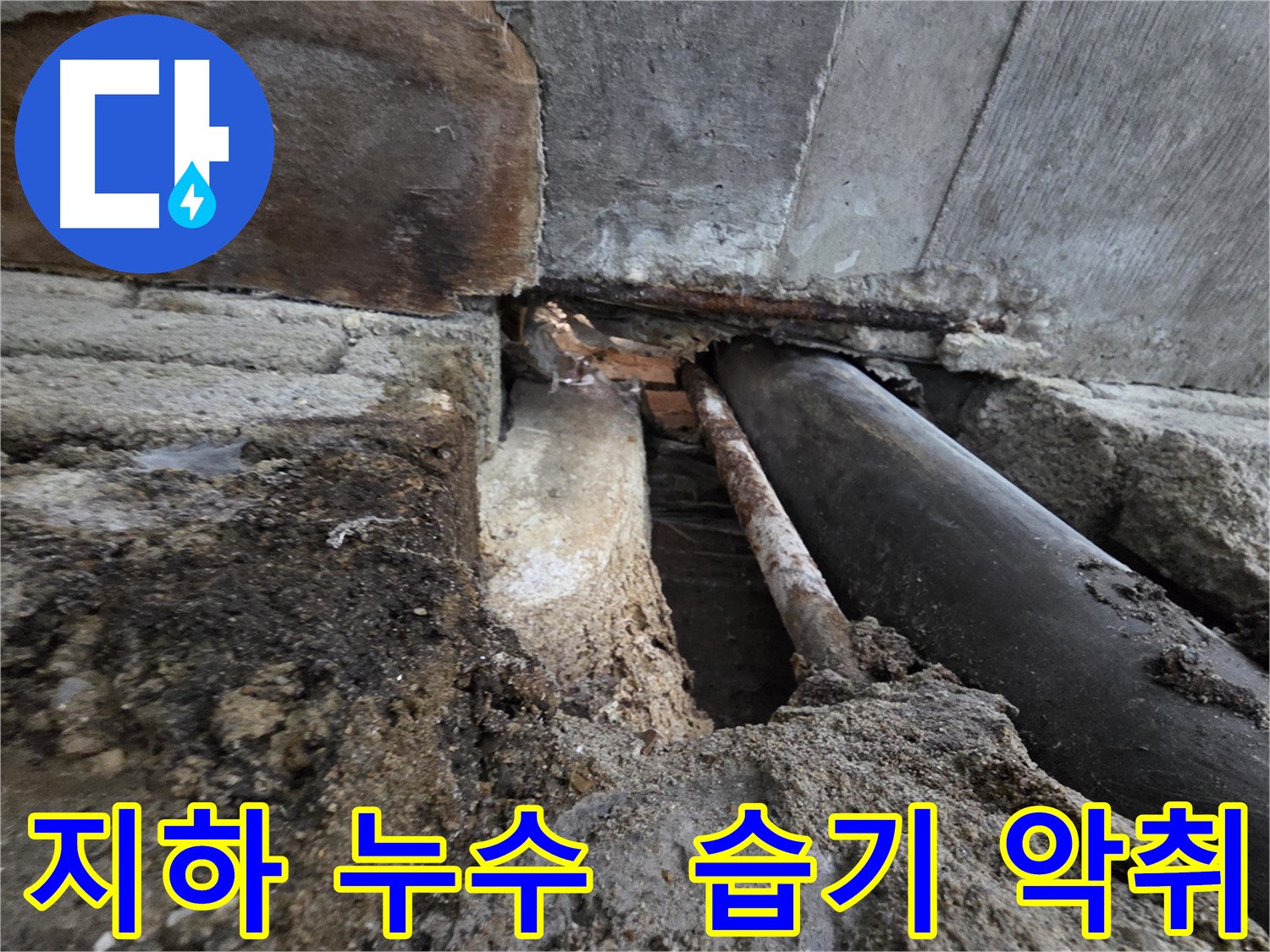 서초 누수 - 완벽한 해결, 고객 감동! 최고의 서비스를 약속드립니다!