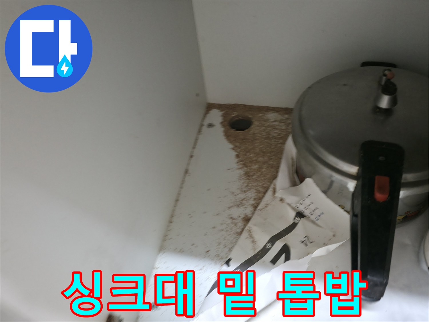 싱크대 밑 - 톱밥 - 나무 썩음 - 누수 해결 전문가