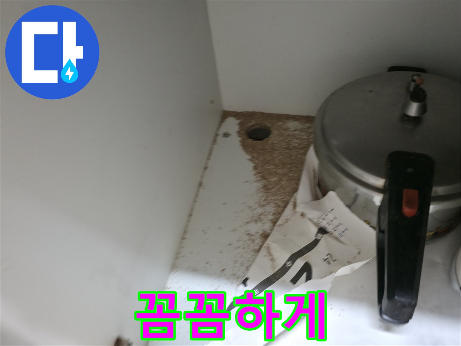 싱크대 하부 - 톱밥 - 꼼꼼한 점검 - 숨은 곳까지