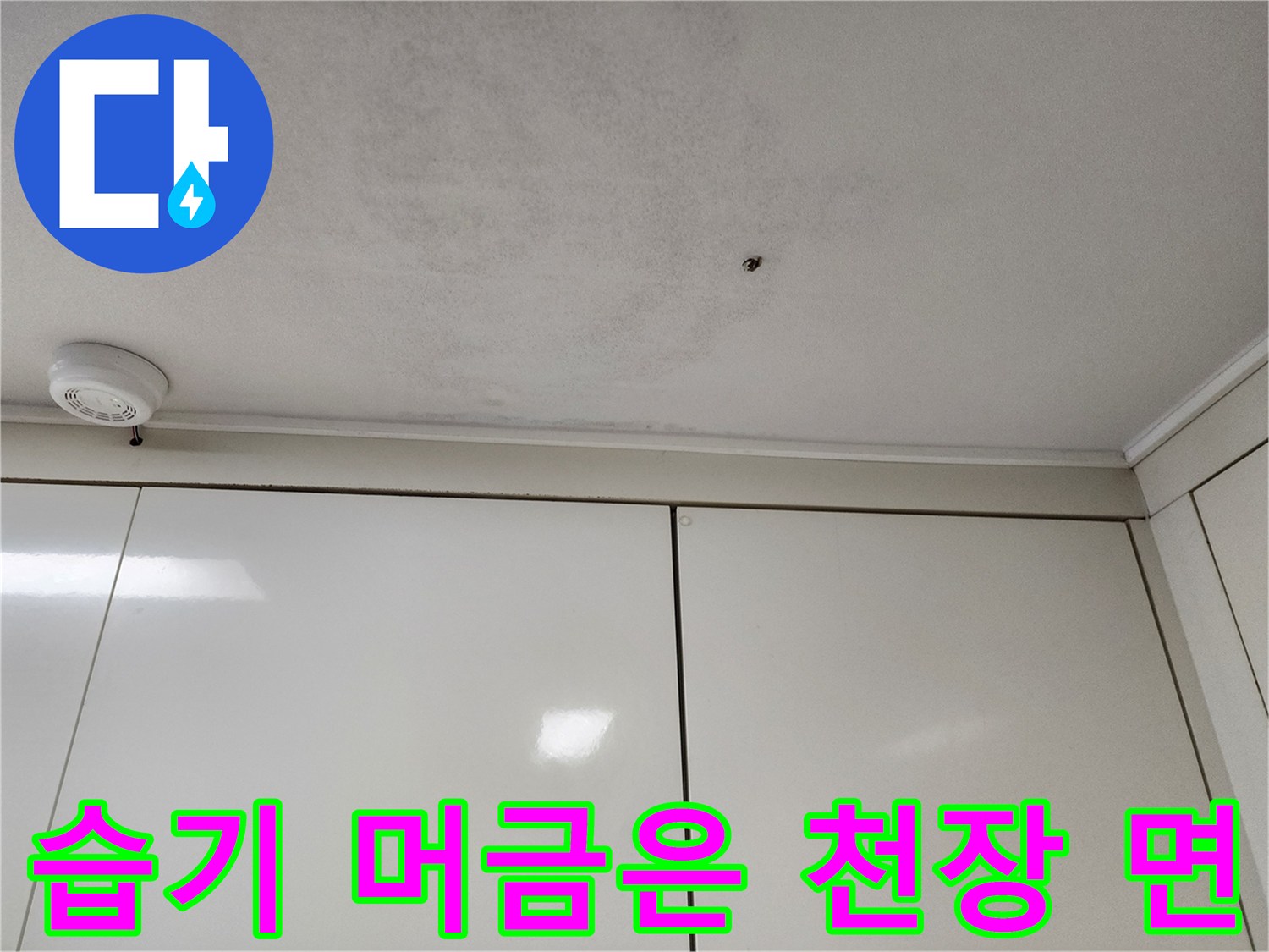 천장 마감재의 습기 침투 및 변색된 상태를 보여주는 사진