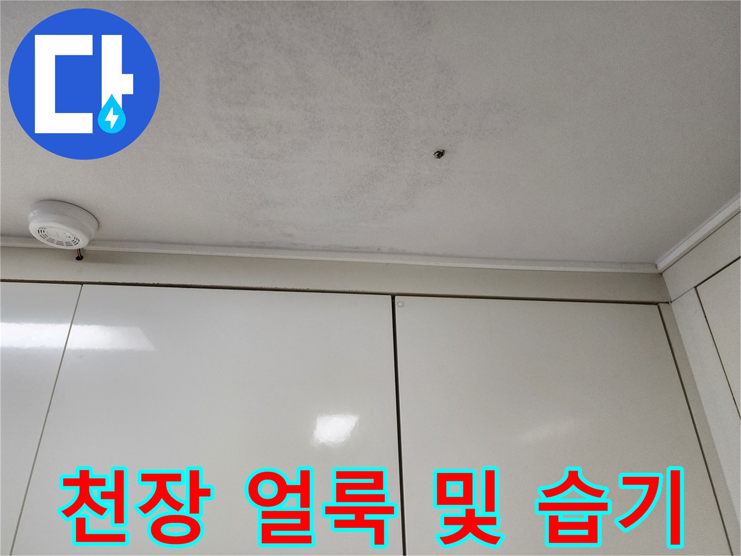 포천 신북면 현장의 천장 얼데와 습기가 번진 모습