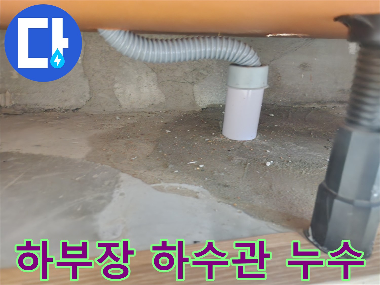 공릉동 아파트 하부장 하수관 누수 - 문제 해결 과정 상세 공개