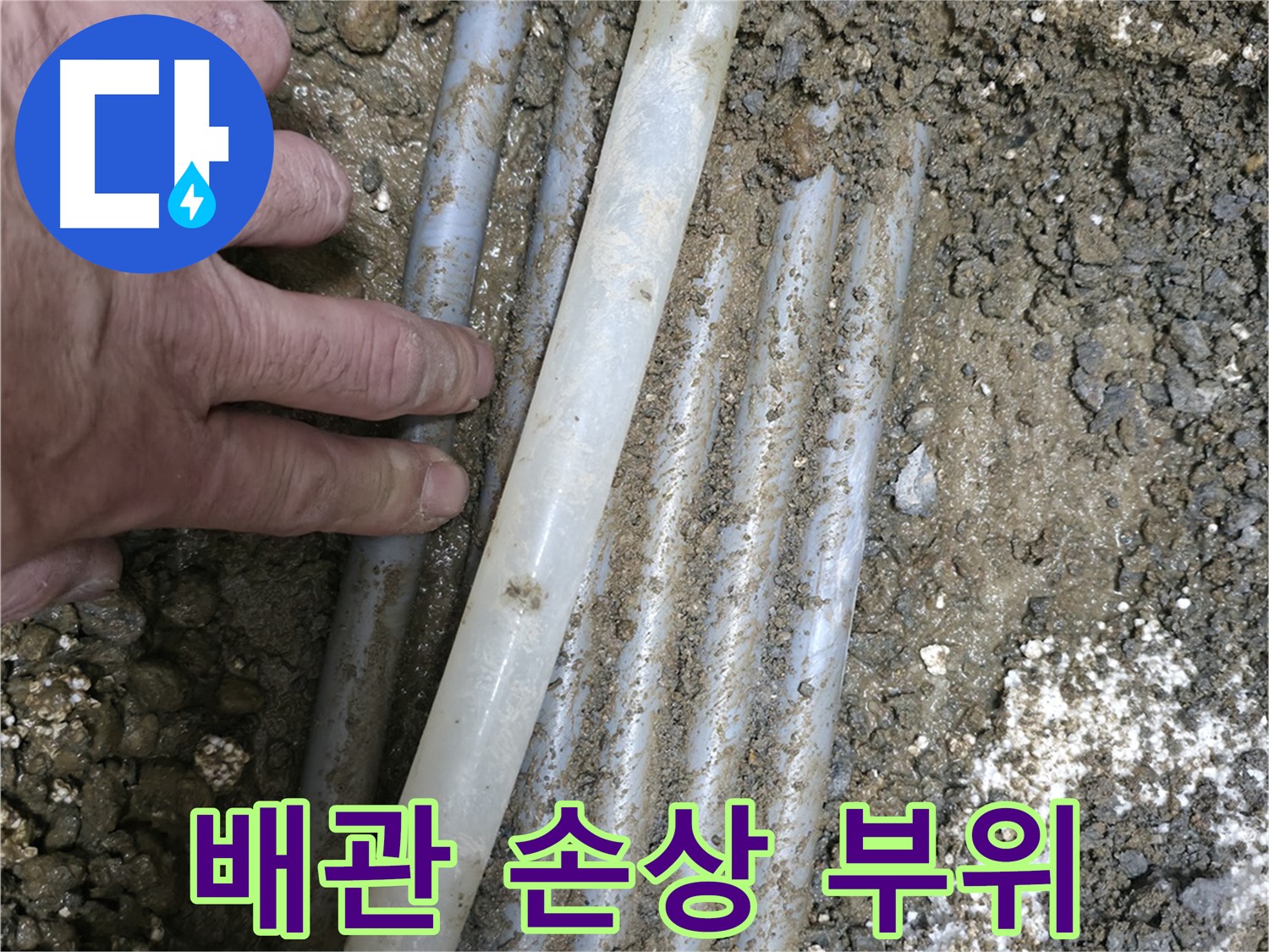 신촌 주택 누수 - 굴착 후 배관 손상 부위 확인 - 정확한 원인 파악