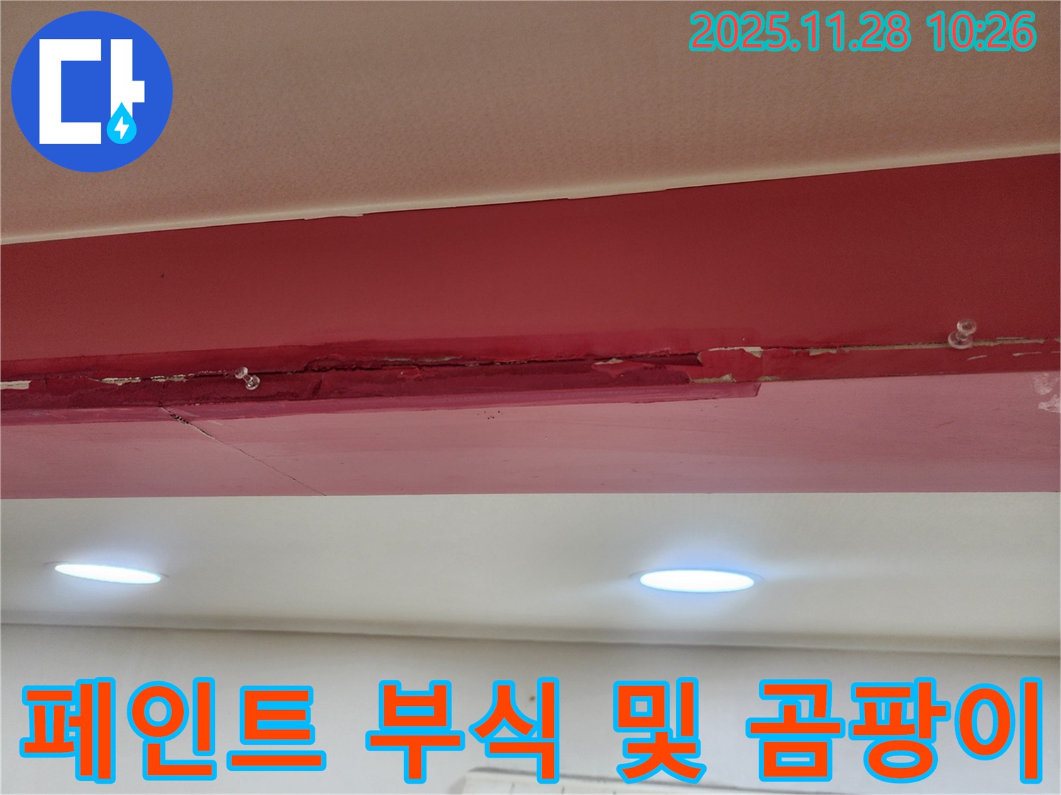 붉은색 천장 페인트 부식 및 곰팡이 - 누수로 인해 페인트가 화학적으로 부식되고 곰팡이가 심하게 발생한 모습입니다.