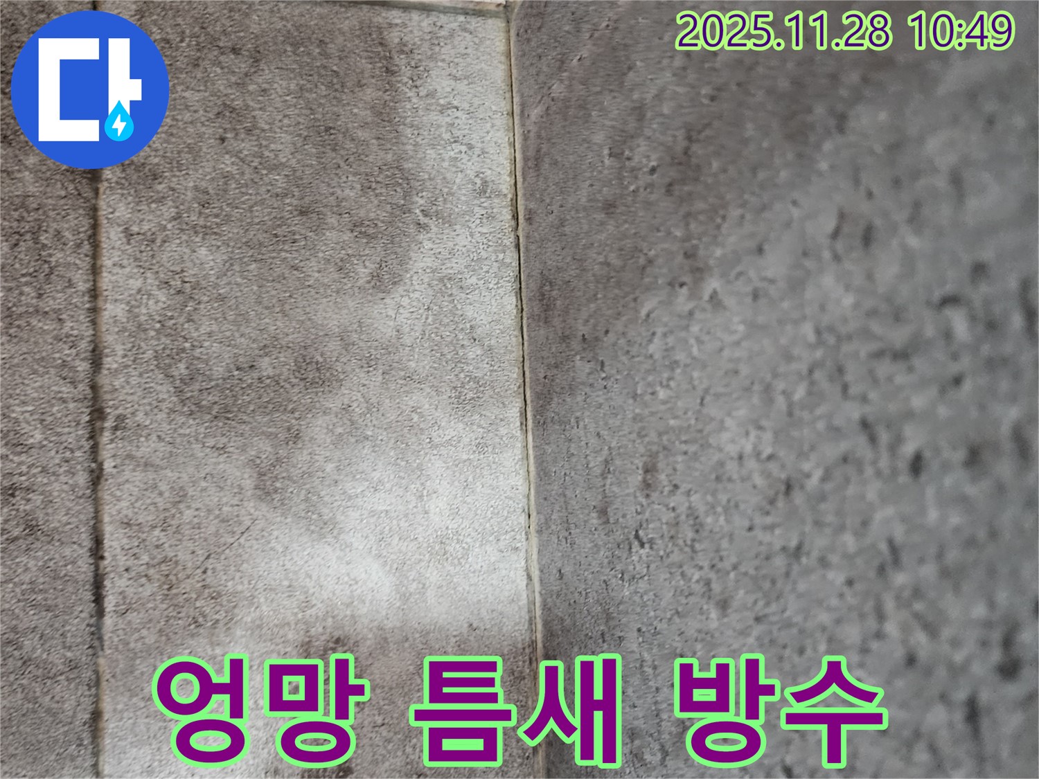 포천 신북면 금동리 - 곰팡이로 엉망인 욕실 틈새 곰팡이 제거 후 틈새 방수 코팅으로 곰팡이와 누수 걱정 끝!