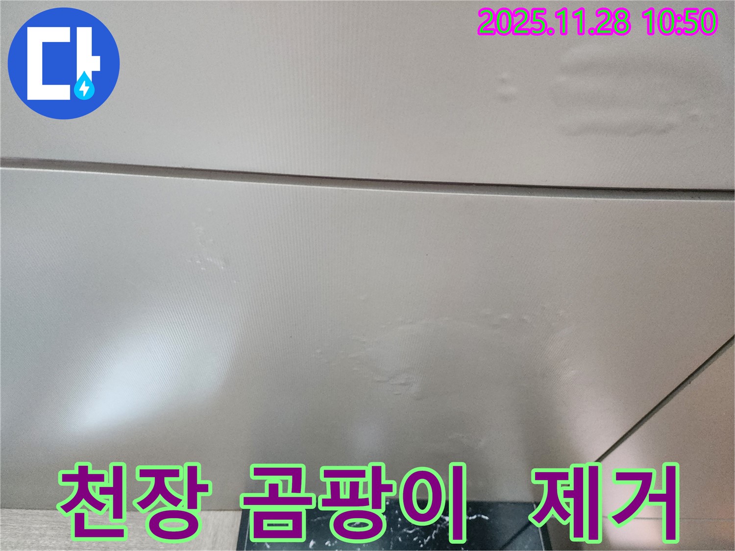 포천 신북면 금동리 누수 - 천장 곰팡이 제거와 함께 누수 문제까지 완벽하게 해결하여 건강한 생활 공간을 만들어 드립니다.