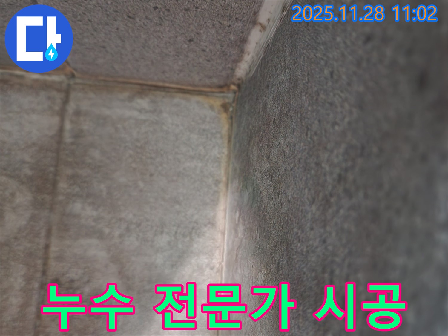 포천시 신북면 누수 현장 - 전문가의 꼼꼼한 곰팡이 천장 해결