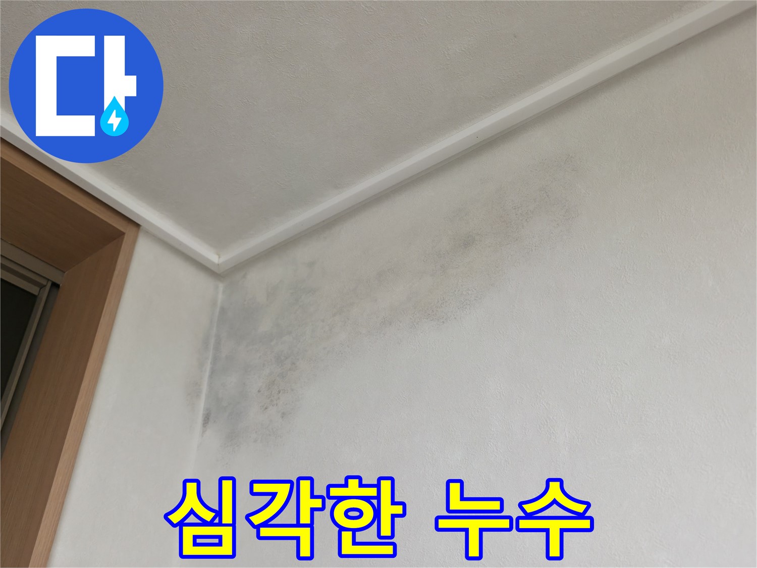 용인 아파트 누수 - 천장과 벽면에 심각하게 퍼진 누수 흔적
