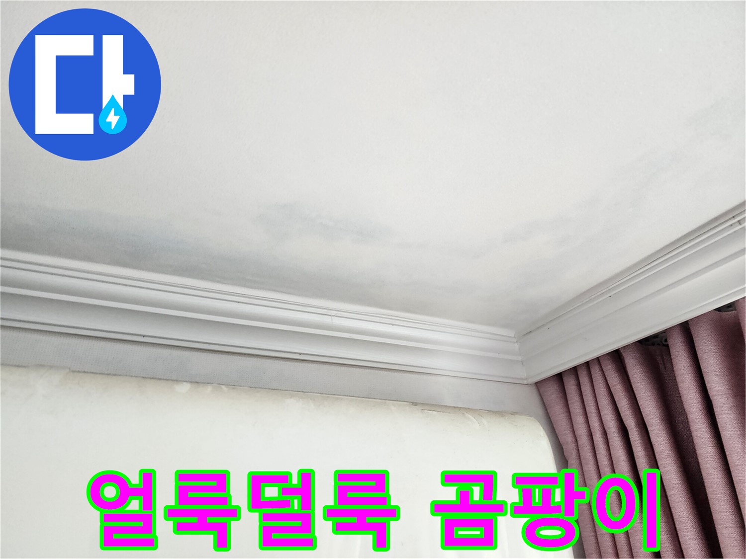 상대원동 아파트 얼룩덜룩 곰팡이 천장 - 누수 문제 완벽 해결