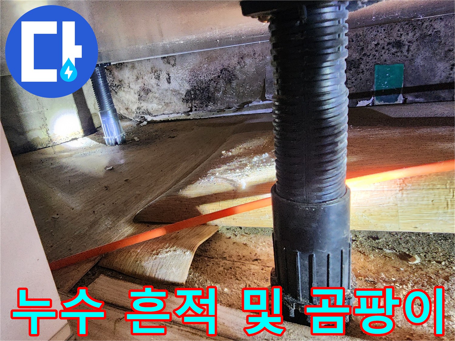 배관 주변의 습기와 곰팡이가 심하게 발생한 현장 모습
