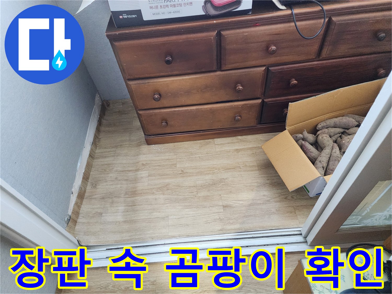 수원 율전동 누수 - 장판 속 곰팡이를 발견하고 누수 가능성을 진단합니다.