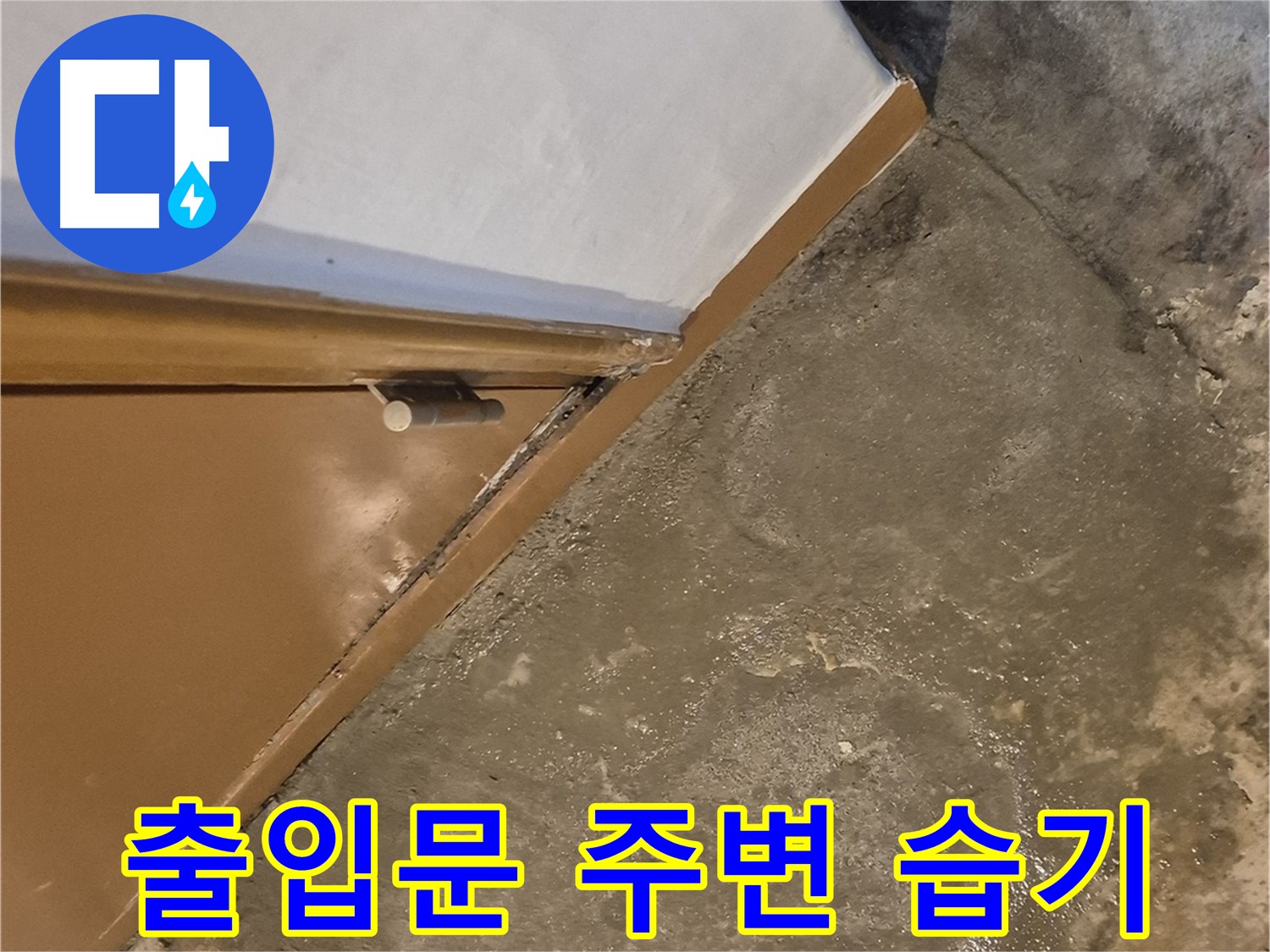 광진구 누수 - 출입문 주변 습기 문제의 정밀 진단 과정