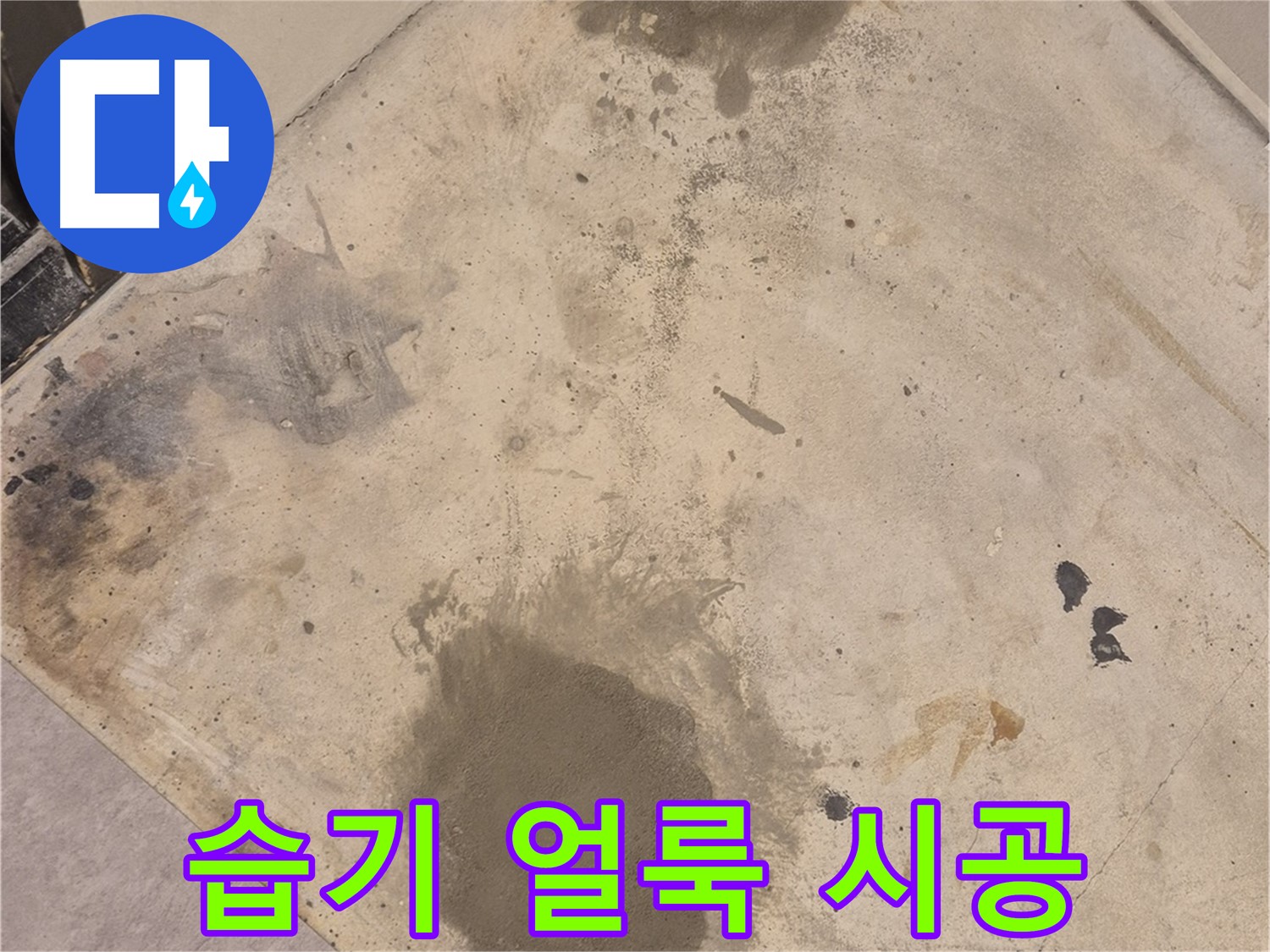 능동 누수 현장 - 습기로 얼룩진 바닥, 누수 해결 전문가의 완벽 시공