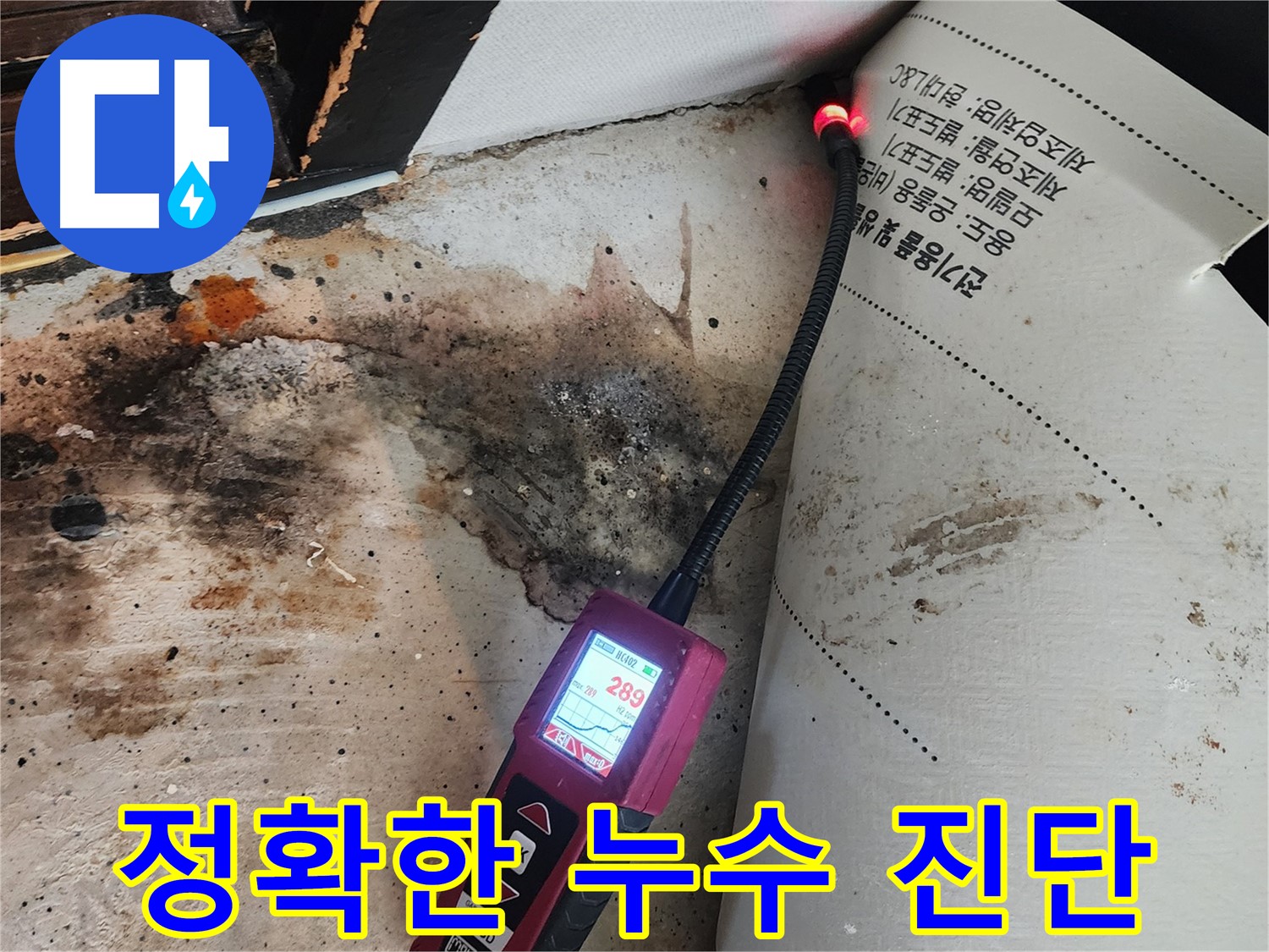 자양3동 누수탐지 - 곰팡이 핀 벽, 내시경으로 정확한 누수 진단