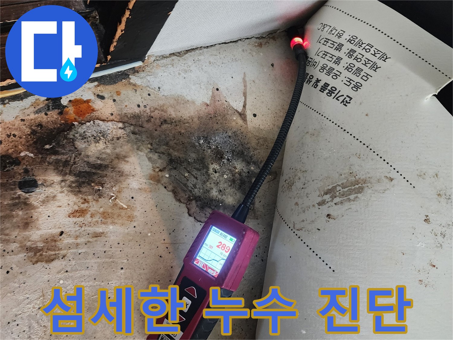 자양동 누수 - 곰팡이 핀 벽, 전문가의 섬세한 손길로 해결