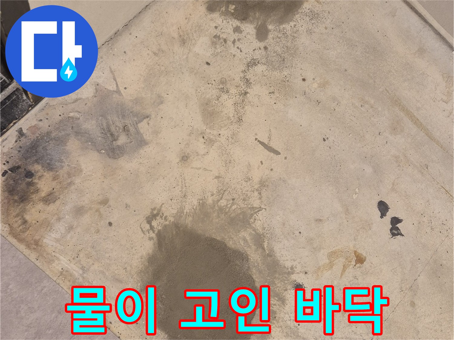 중곡동 누수 현장 - 물이 고인 바닥, 누수 탐지 전문가가 해결에 나섰습니다.