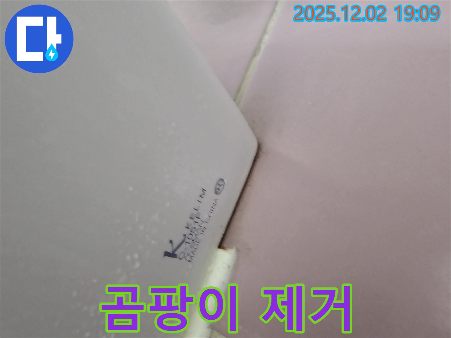 백시멘트 오염 - 곰팡이 제거 후 재시공 완료!
