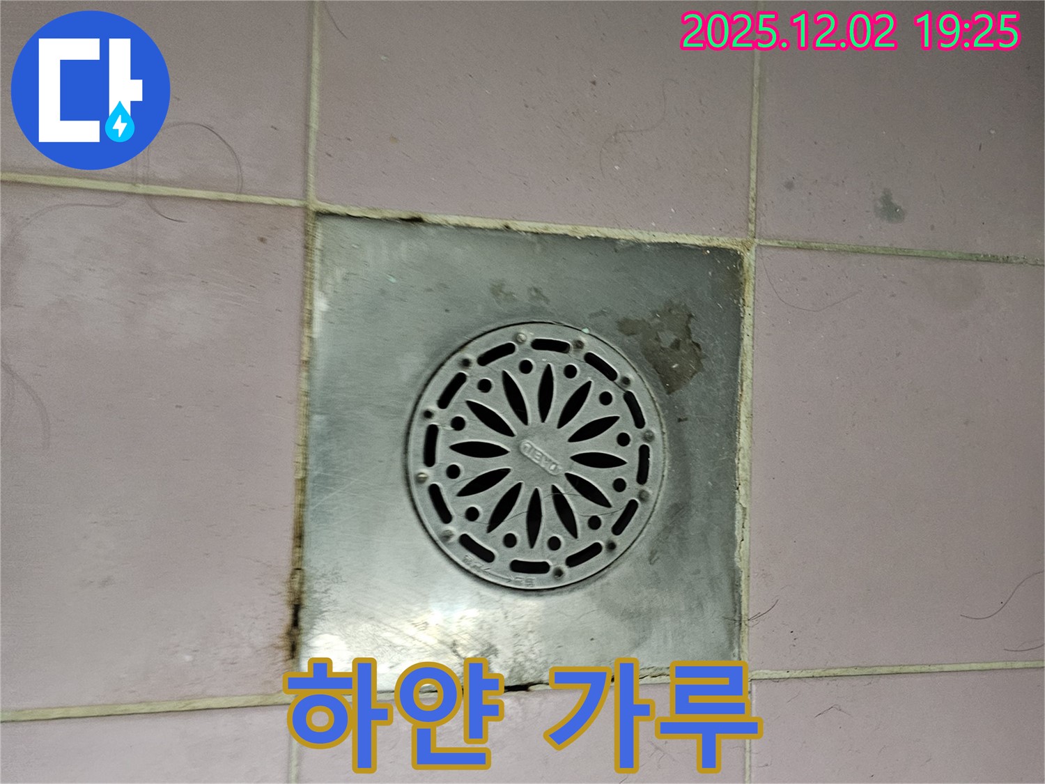 욕실 배수구 주변에 하얀 가루가 묻어있음 - 누수로 인한 백화현상일 수 있습니다.