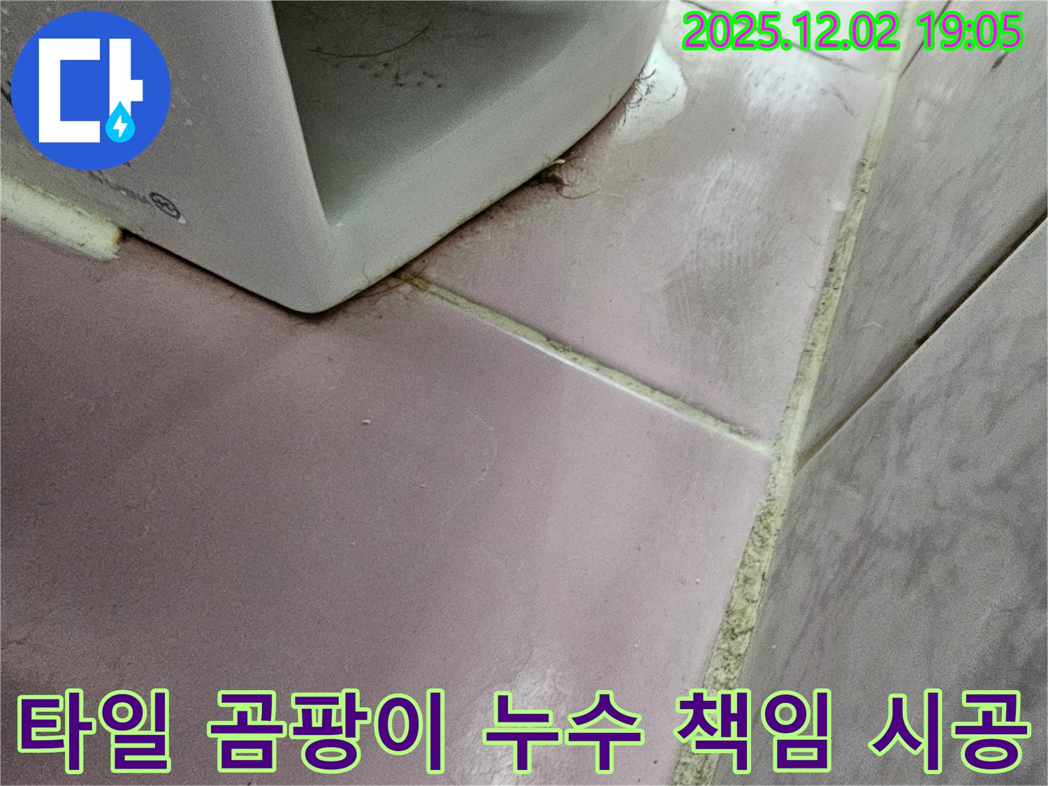 타일 곰팡이 누수 - 동작구 누수 전문 업체에서 책임지고 해결합니다.