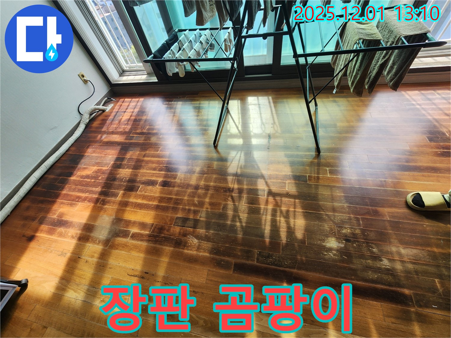 포천 이동면 마루 누수 - 장판 밑 곰팡이, 누수 가능성 매우 높음