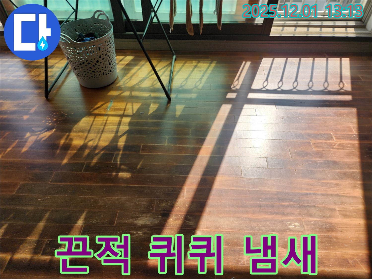 포천시 이동면 도평2리 누수 - 햇빛 아래 마루가 끈적거리고 퀴퀴한 냄새가 난다면 누수와 곰팡이를 의심하세요!
