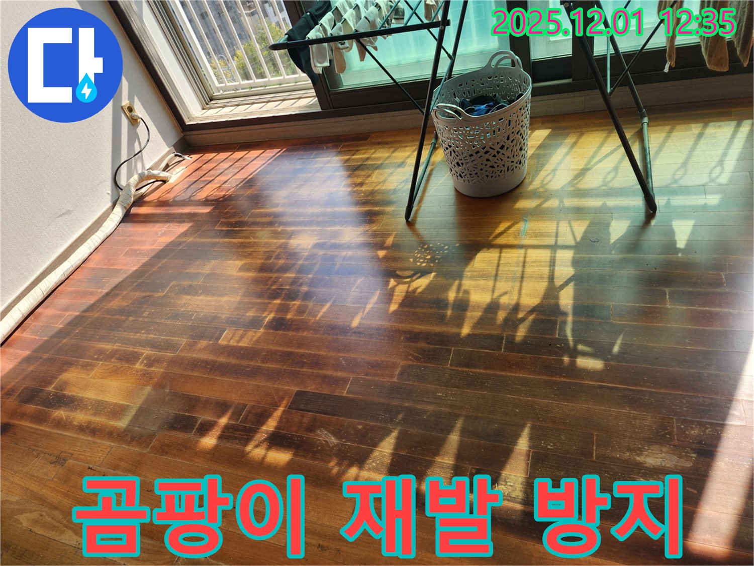 포천시 이동면 도평리 주택 - 누수로 인한 마루 곰팡이, 누수 전문가가 재발 방지 시공으로 곰팡이 걱정 없이 만들어 드립니다.