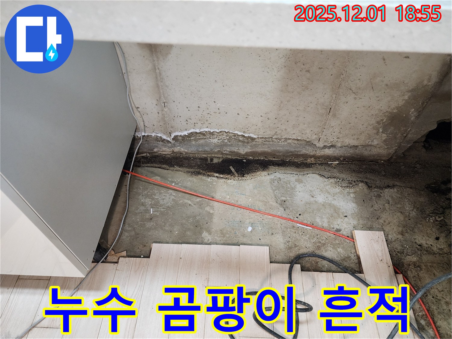 포천시 이동면 연곡리 싱크대 누수 - 곰팡이와 누수의 흔적