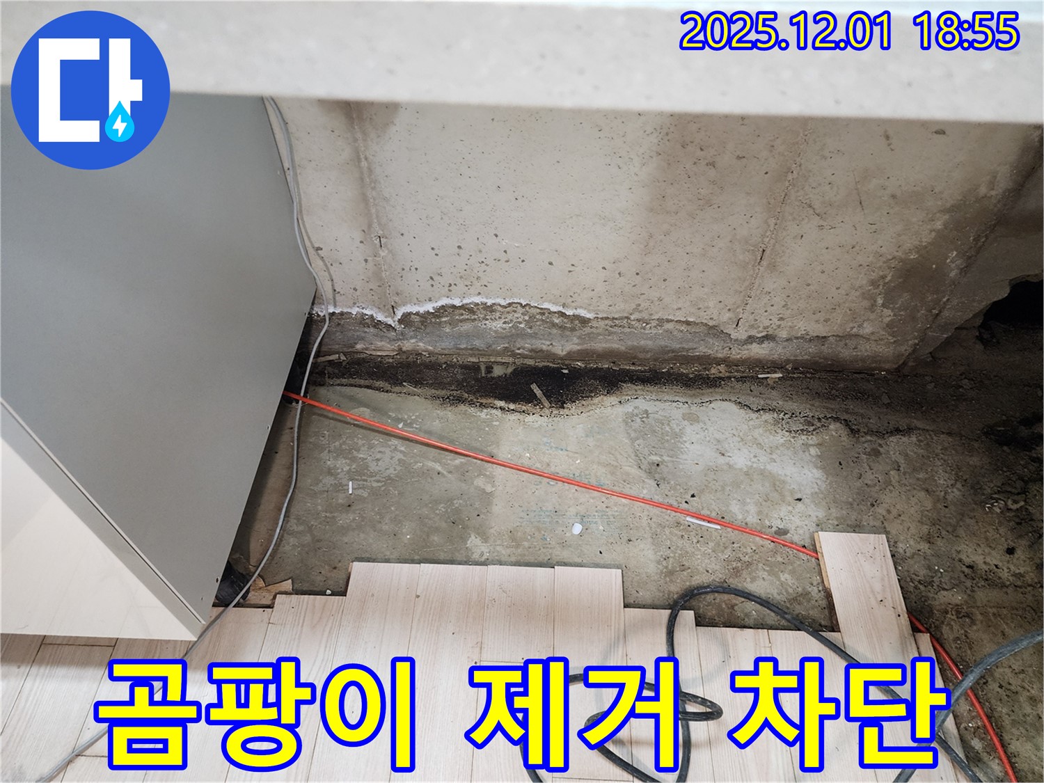 포천시 이동면 연곡리 싱크대 하부 누수 - 곰팡이 제거 및 완벽 누수 차단 긴급 시공