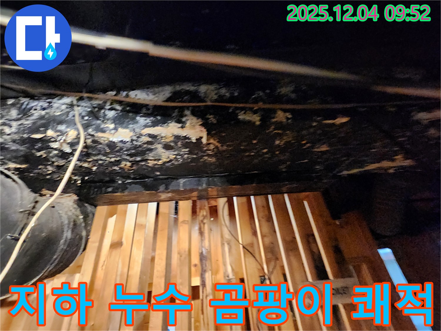 성동구 마조로 - 건물 지하 누수와 곰팡이 문제 해결, 쾌적한 공간으로 되돌리기