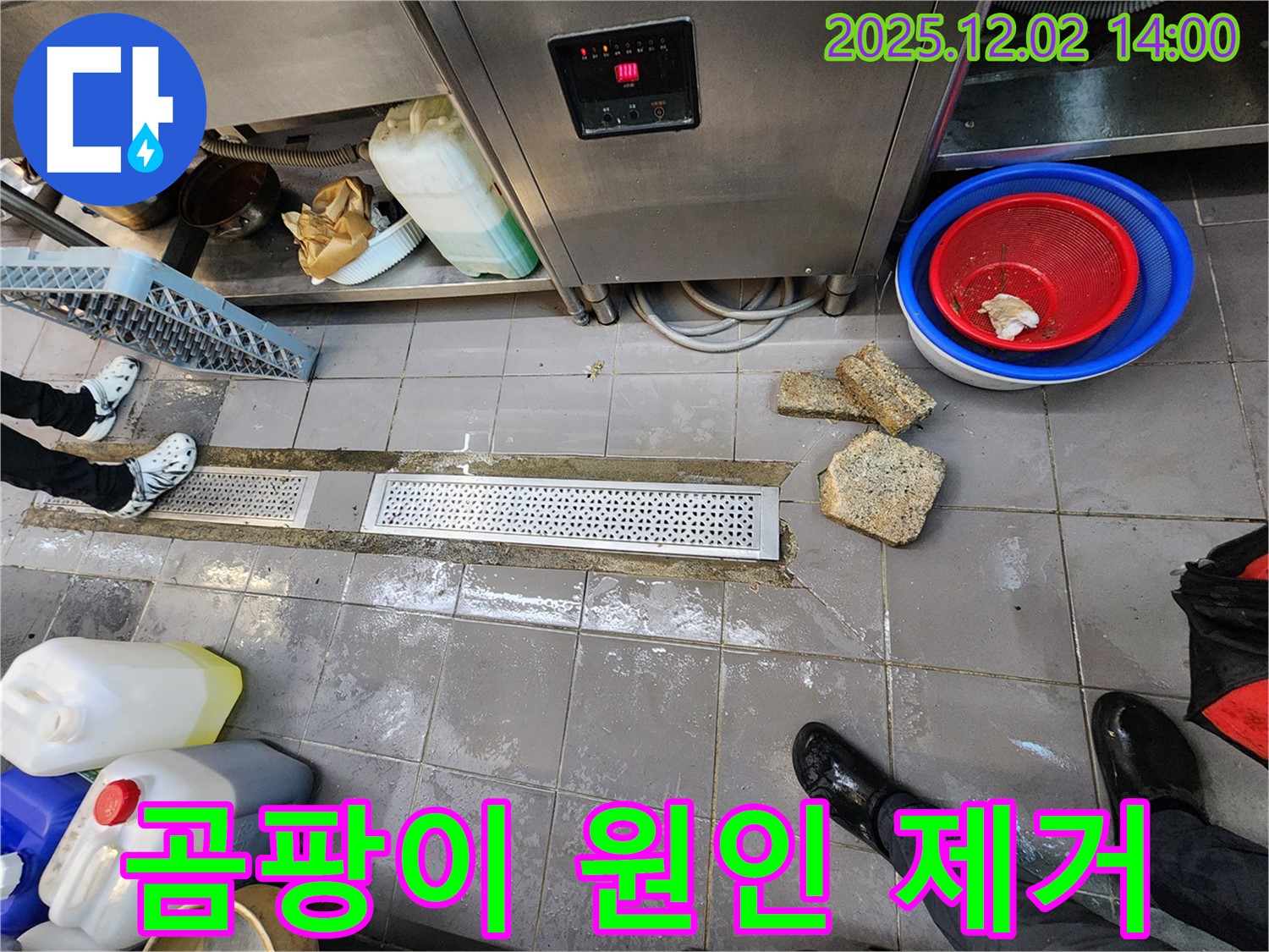 포천 식당 주방 배수구 주변 곰팡이 - 누수 전문가가 원인을 분석하고 제거 작업을 진행합니다.