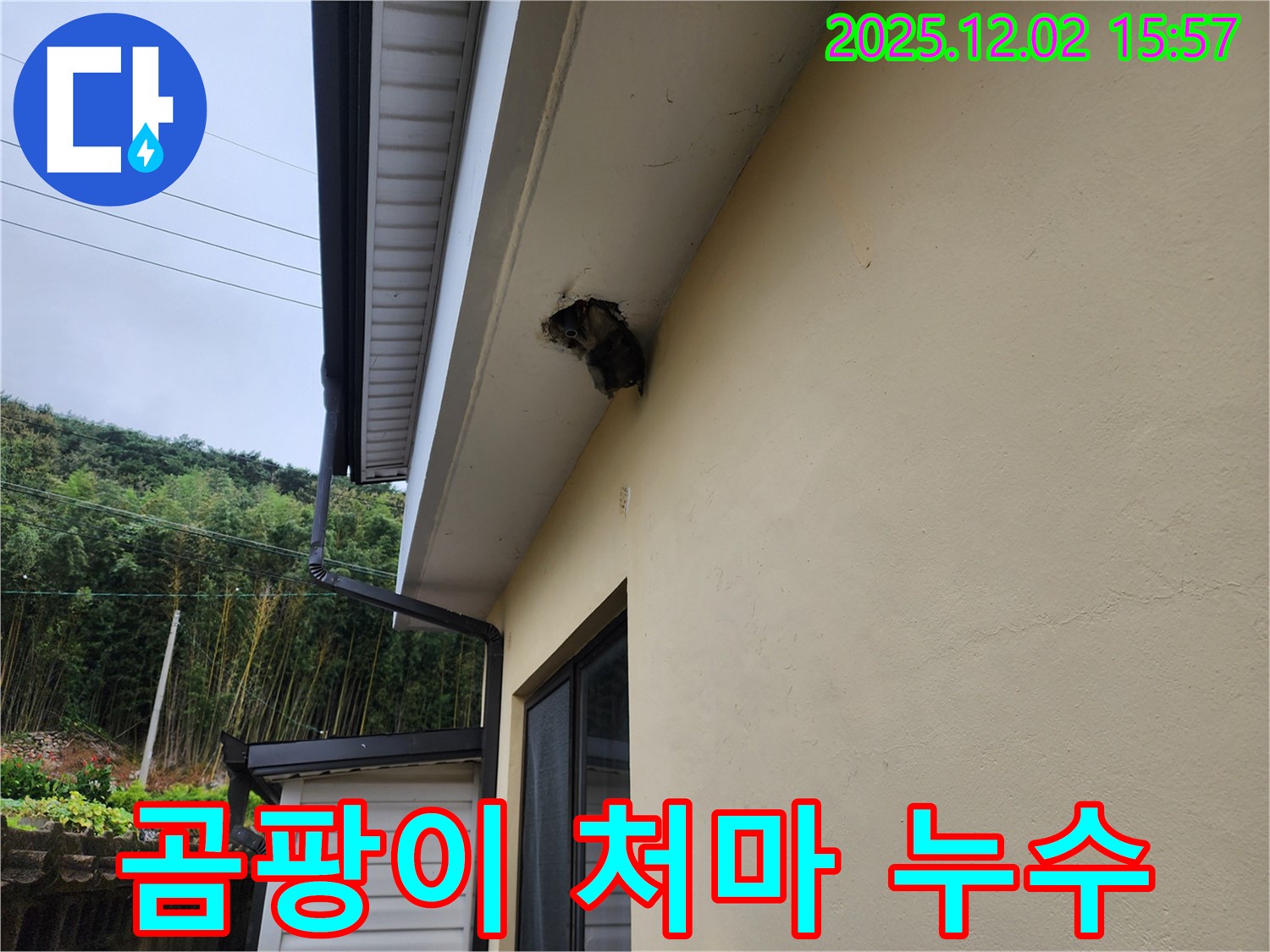 경기도 포천시 일동면 길명리 곰팡이 핀 처마 - 누수를 해결하고 곰팡이까지 제거했습니다.