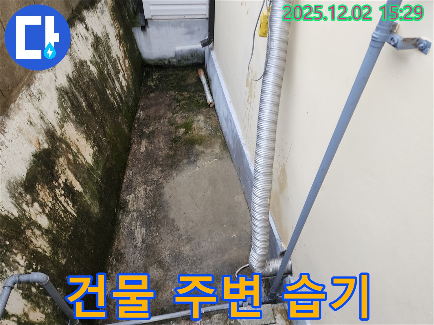 길명리 건물 주변 습기 - 배수 시설 개선으로 뽀송뽀송하게!