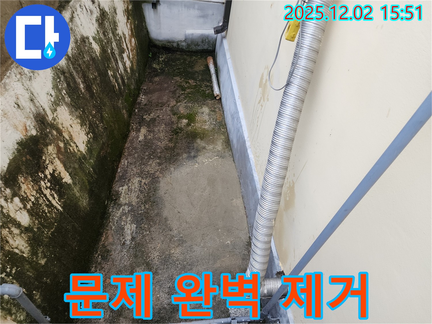 길명리 곰팡이 - 곰팡이 냄새, 습기, 벽 갈라짐 완벽 제거 솔루션!