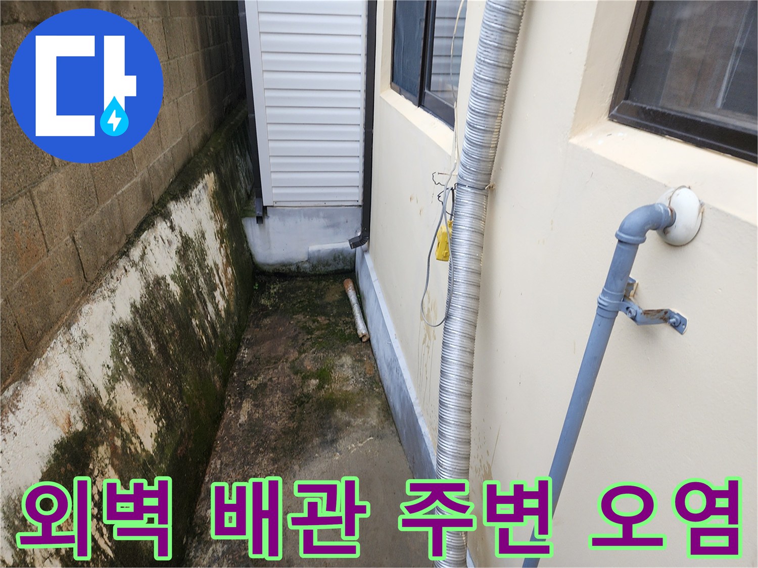 배관 주위 벽돌과 바닥에 물때와 곰팡이가 심하게 발생한 사진입니다.