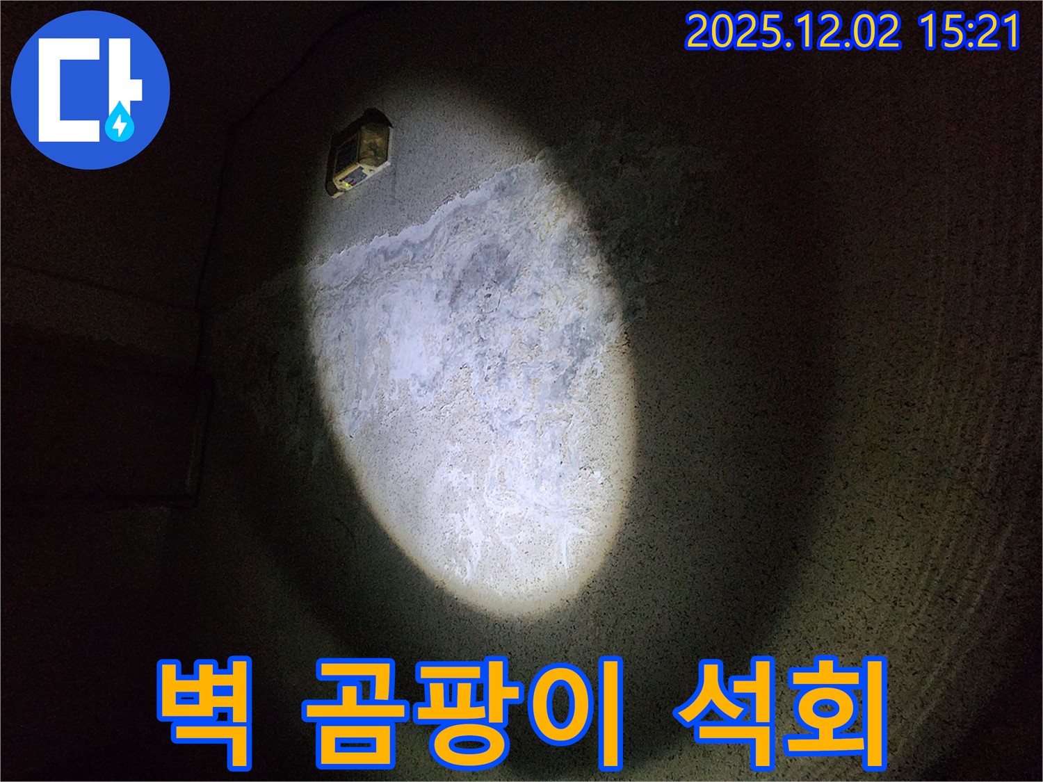벽에 곰팡이와 석회가 동시에 발생했다면 - 복합적인 누수 문제일 수 있습니다