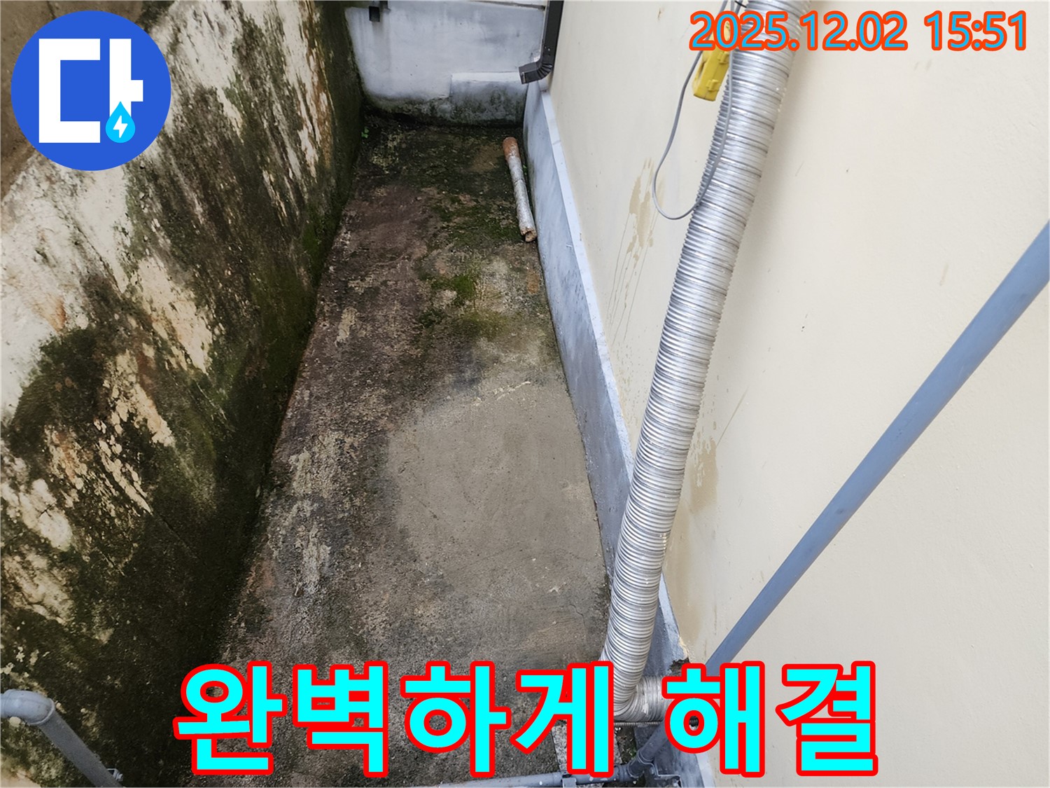 일동면 좁은 공간 곰팡이 제거 - 완벽한 시공으로 곰팡이, 냄새, 습기 문제 해결!