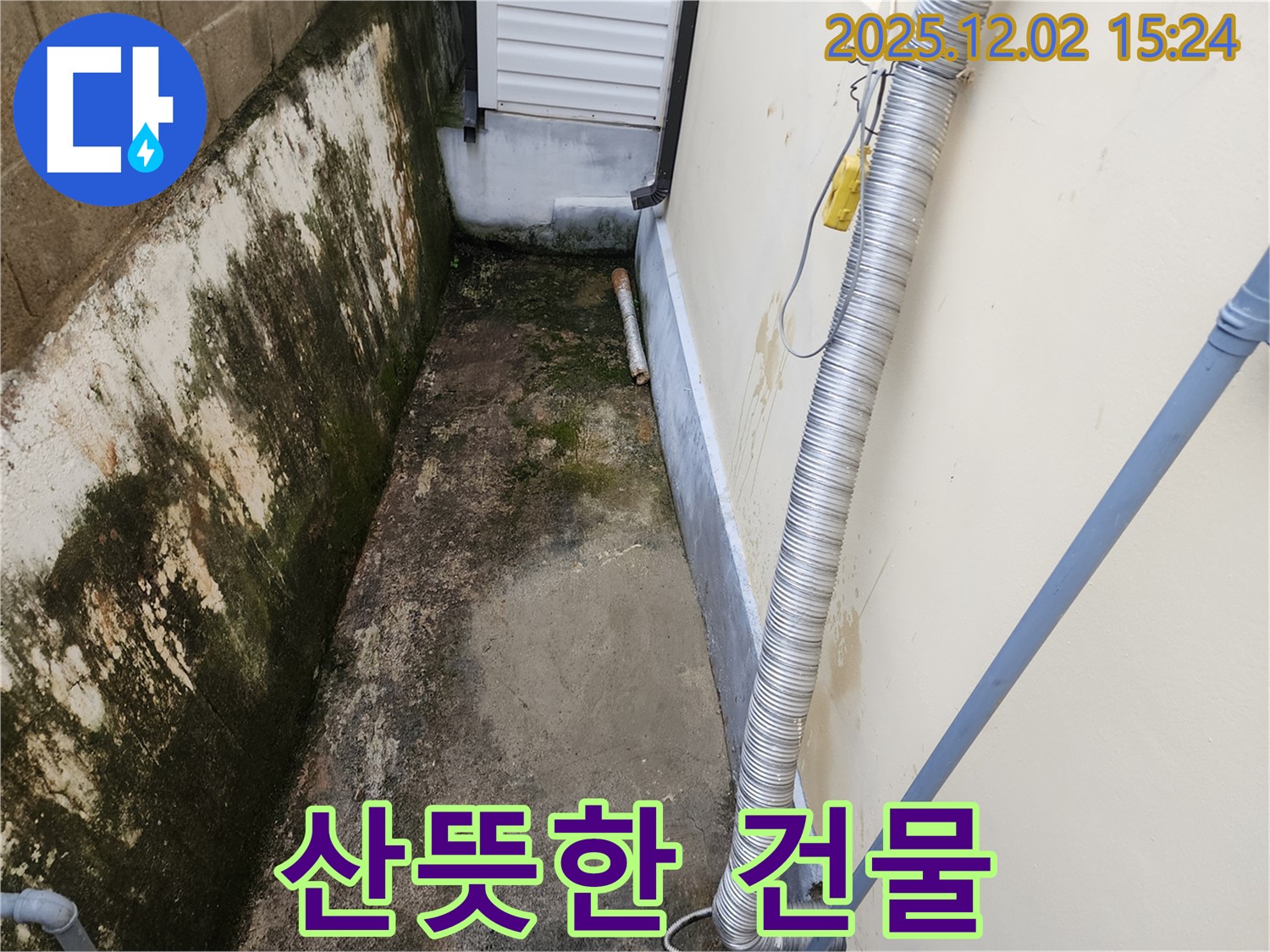 좁은 공간 산뜻한 건물 - 깨끗한 외벽으로 산뜻한 분위기를 연출하세요!