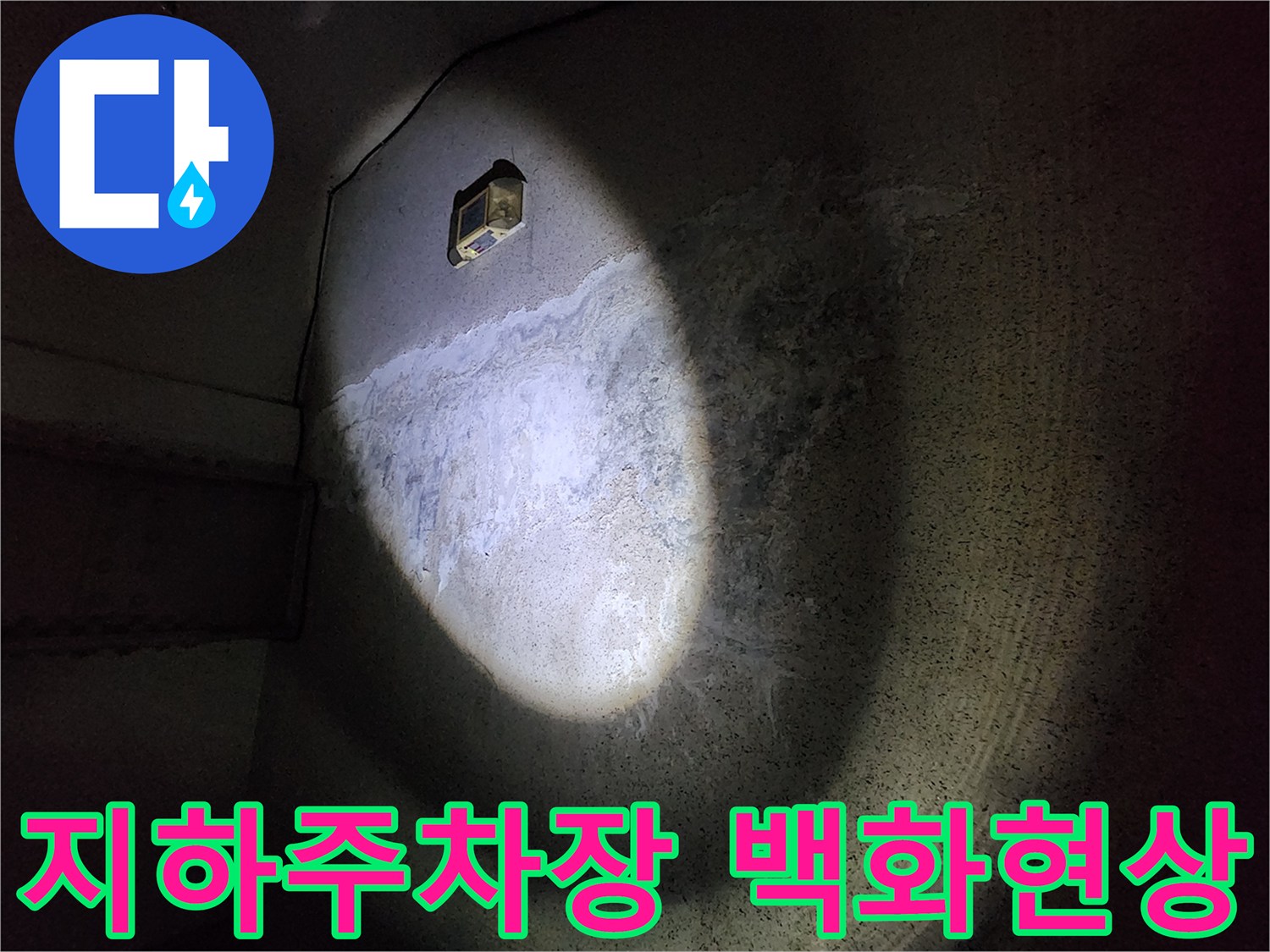 지하 주차장 천장 슬래브에 발생한 하얀색 백화 현상 사진