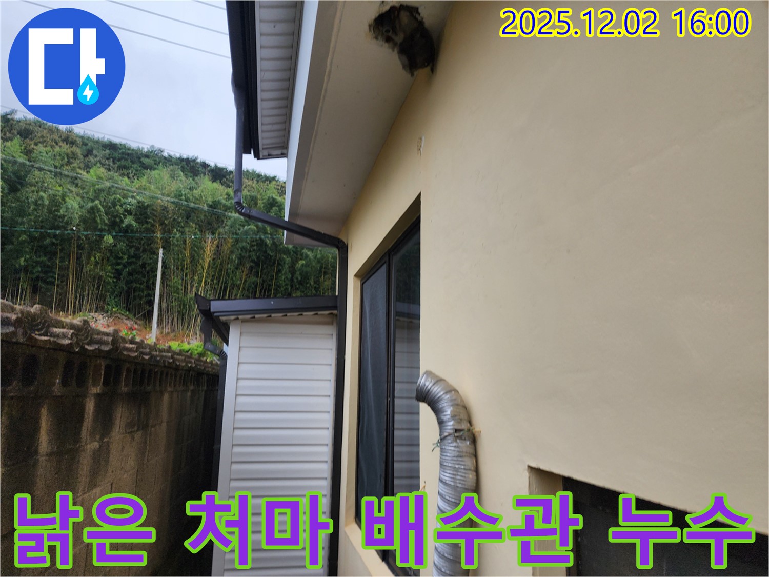 포천시 일동면 금주리 주택 낡은 처마 및 배수관 막힘으로 인한 누수 해결 - 처마 교체 및 배수관 청소