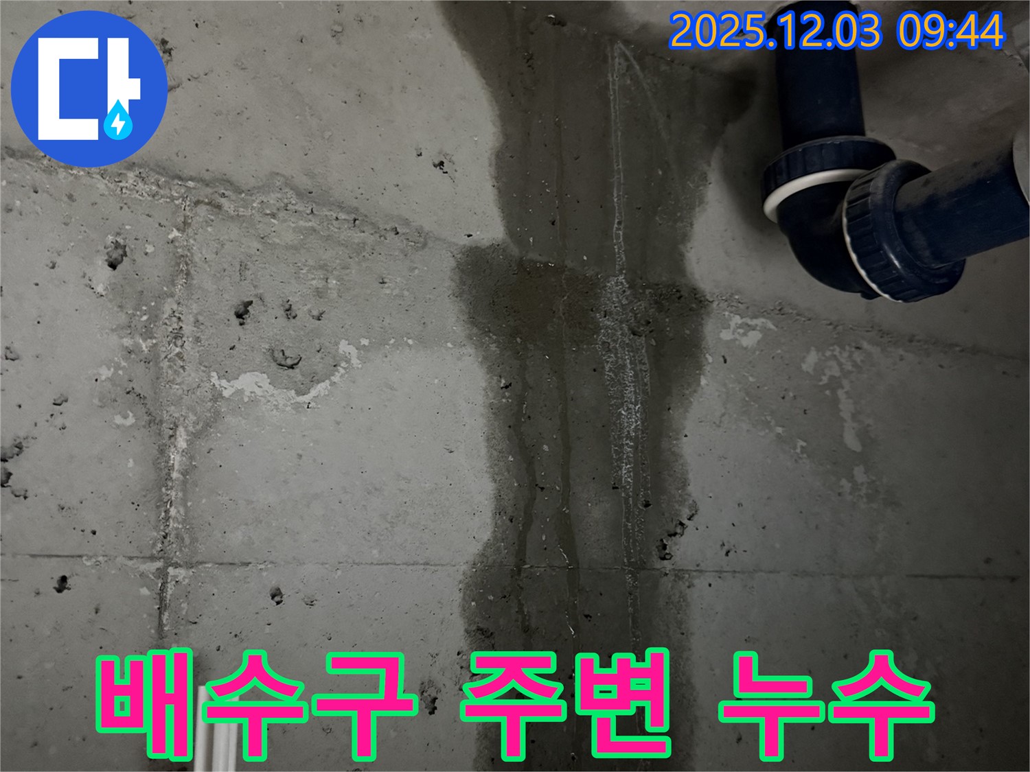 동두천 지행동 누수 - 세탁실 배수구 주변에서 누수가 발생한 것을 보여주는 클로즈업 사진입니다.