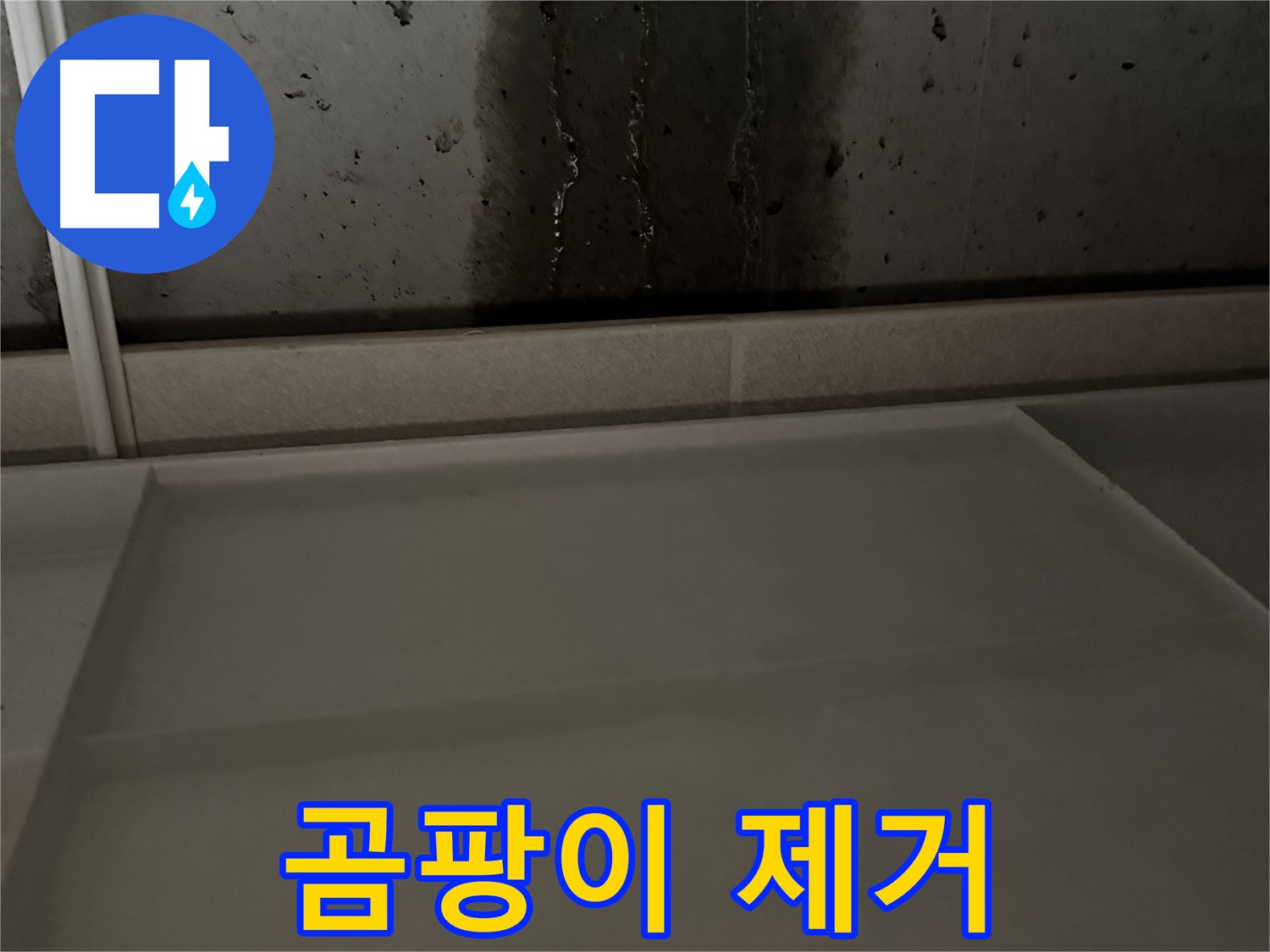 동두천 지행동 동양엔파트 108동 - 누수 탐지 비용 - 합리적인 가격