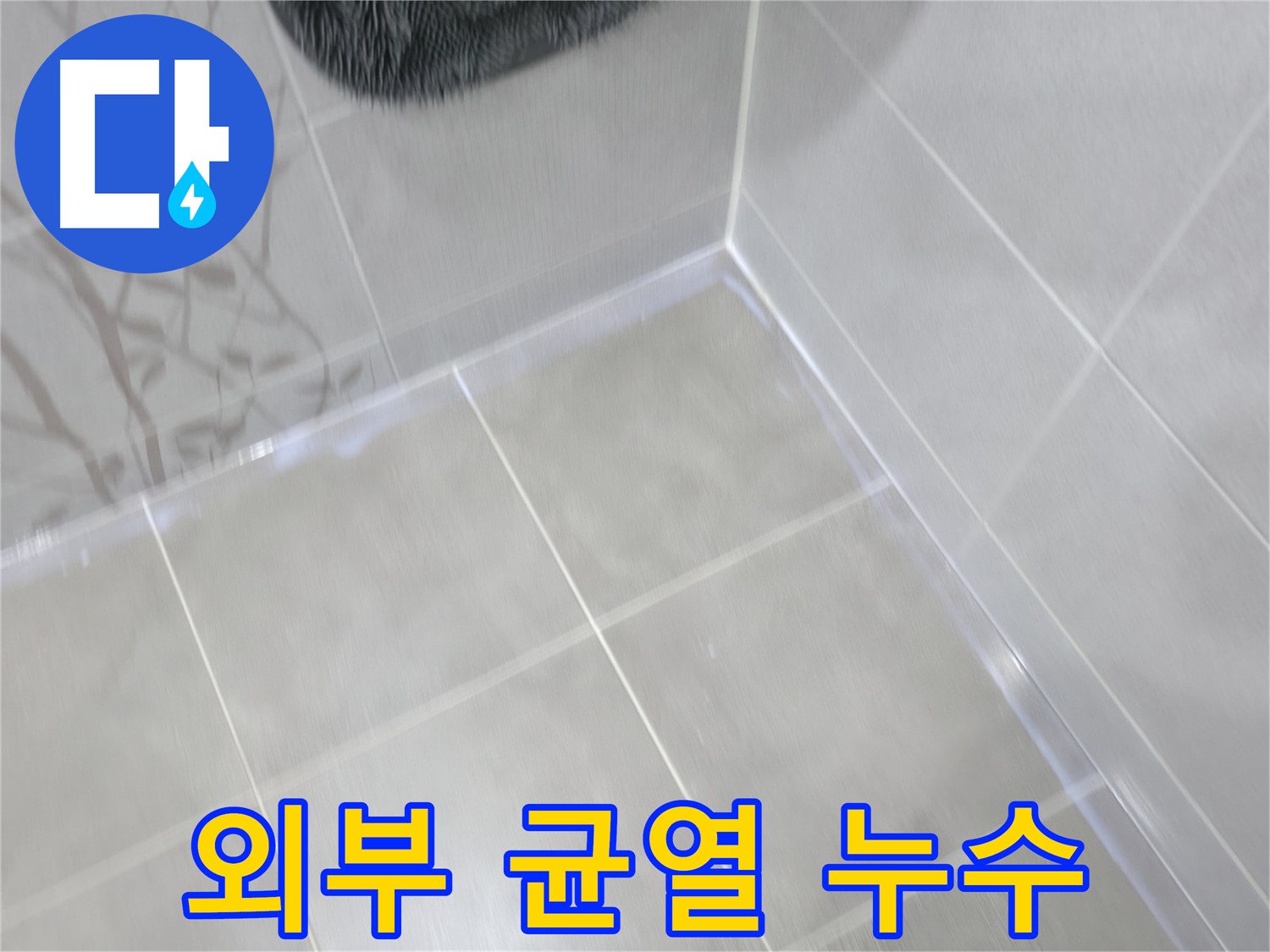 마포구 중동 건영 월드컵 아파트 외부 균열 누수 - 꼼꼼한 탐지로 숨은 누수까지 해결