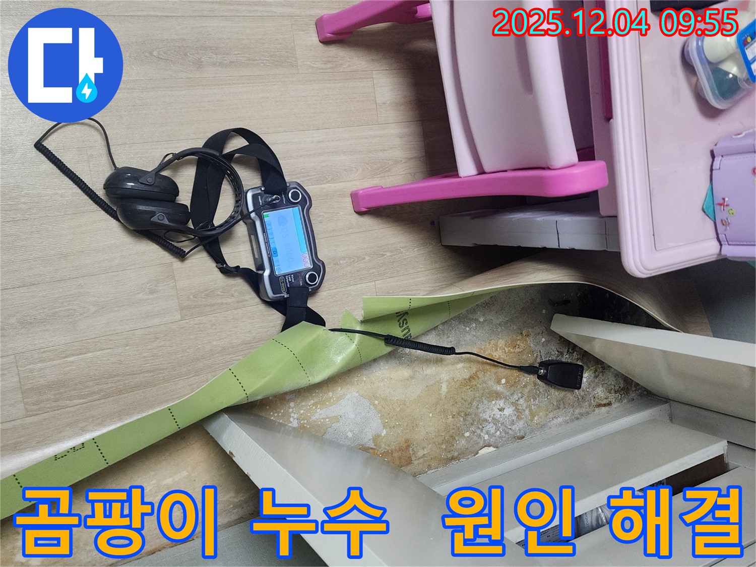 경기도 포천시 일동면 유동리 누수 - 곰팡이가 핀 벽면, 누수 탐지 장비로 원인을 찾고 있습니다.