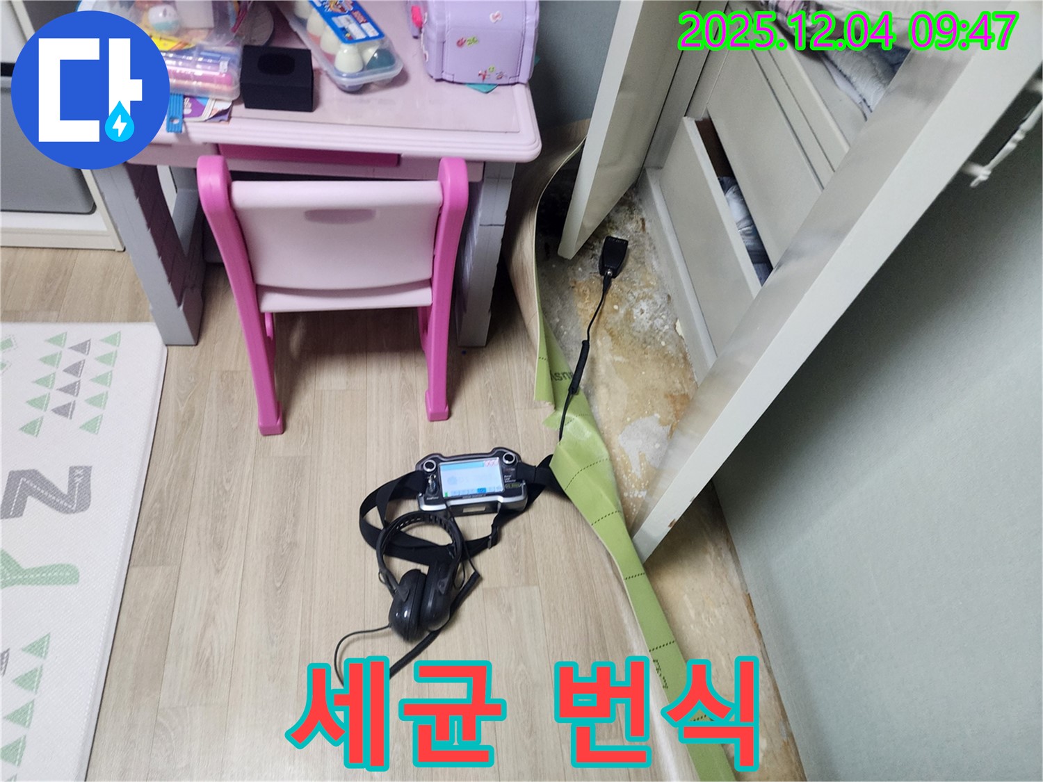 유동리 누수 - 장판 밑 습기, 세균 번식?! 살균 소독 서비스로 깨끗하게!