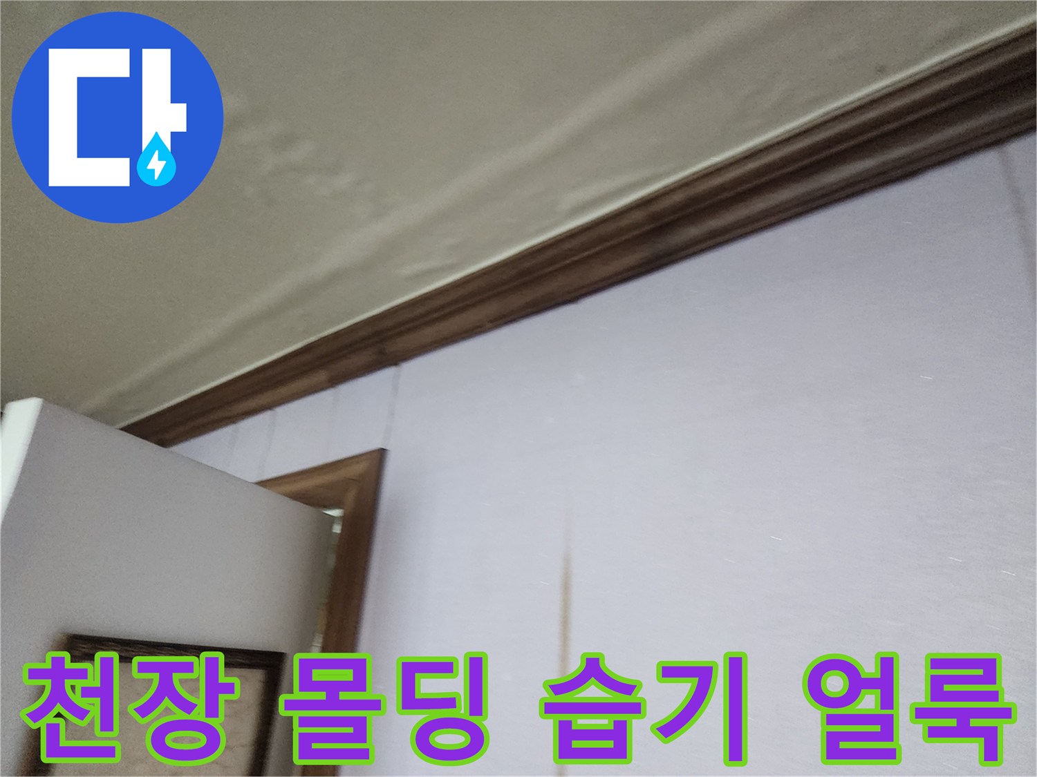 천장-몰딩-주변의-심한-벽지-얼룩과-습기-침투