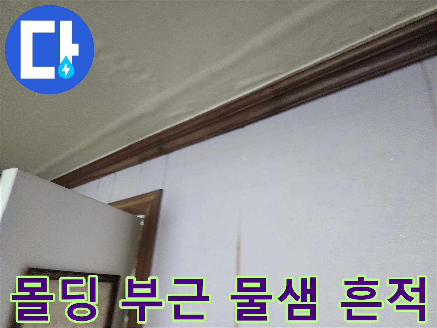 천장 몰딩과 벽면 경계에 발생한 젖은 얼룩 및 변색 현상