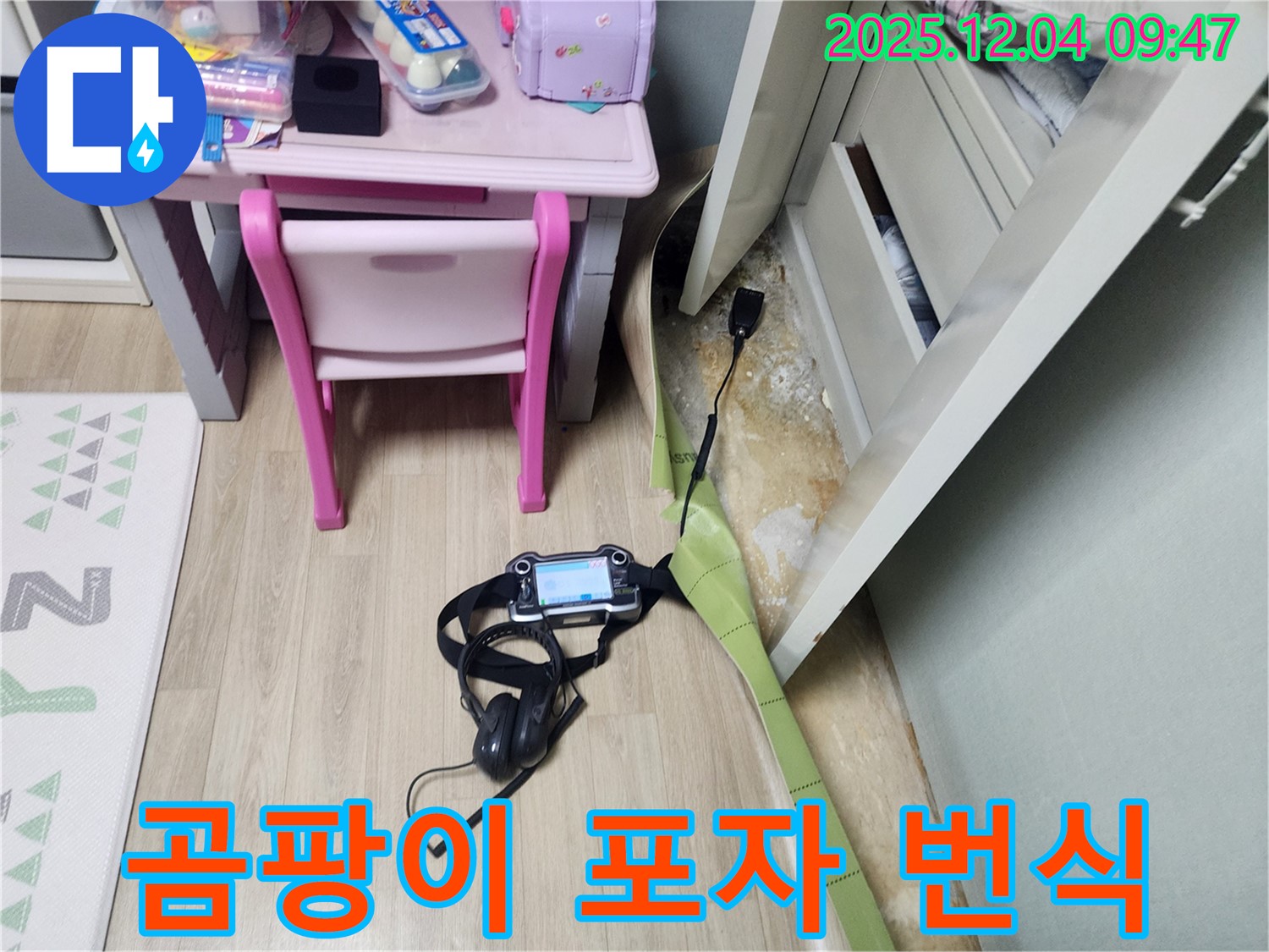 포천 일동면 누수 - 장판 밑 습기, 곰팡이 포자 번식?! 완벽 차단으로 곰팡이 걱정 끝!